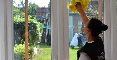 Domestic Services - Cleaning Windows